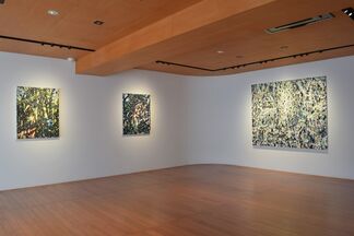 Taishi HATAYAMA solo exhibition "Astray in Time", installation view