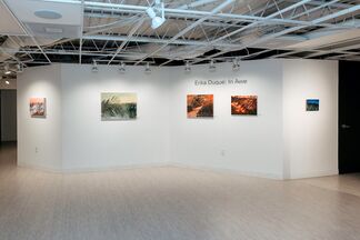 In Awe, installation view