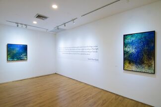 Lights In, installation view