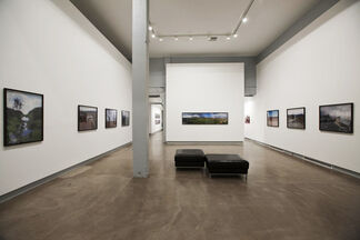 Infected Landscape, installation view