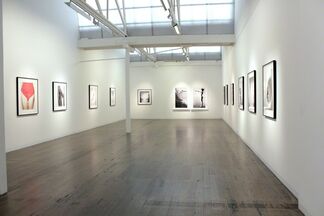 Just So, installation view
