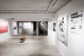 FUZZY TRACE - DUO EXHIBITION, installation view