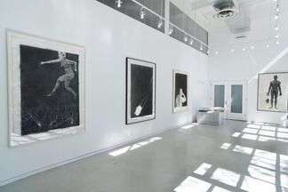 Lesley Dill large scale photographs, installation view