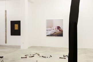 Just came to say HELLO, installation view