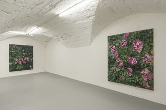 Julian Schnabel: 6 Rose Paintings, installation view