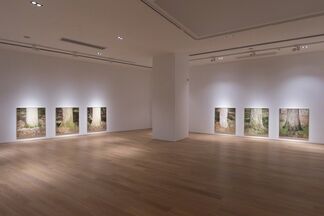 Untitled Poems of Théodore Rousseau, installation view