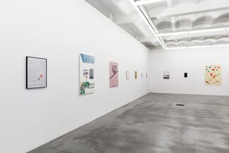 What's the meaning of a goldfish, installation view