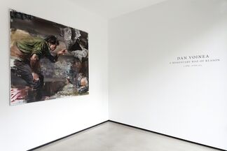 Dan Voinea: A Momentary Rise of Reason, installation view