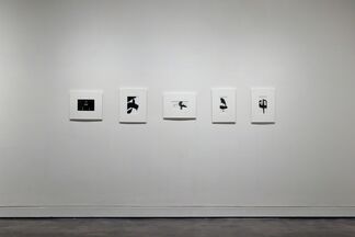 Ray K. Metzker: Philadelphia Elusive, 1962-2009, installation view