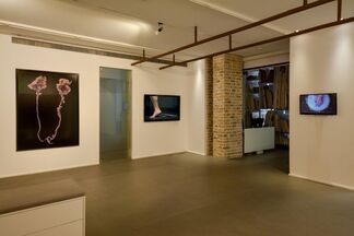 Pinpoint: Hilla Ben Ari, Sheffy Bleier, installation view