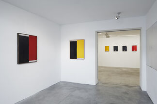 Johnny Abrahams 'Making Flowers Alive', installation view
