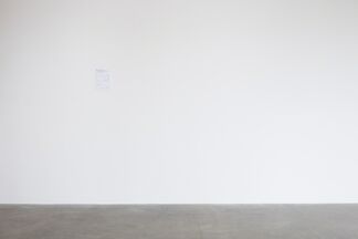 Am Nuden Da: RETROSPECTIVE w/ Tyler Coburn, Viola Yeşiltaç, xxxxxxxxx, installation view