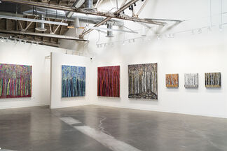Luster, installation view