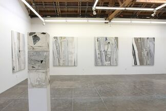 Ryan Wallace: The Standard Model, installation view