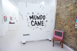 Mundo Cane, installation view