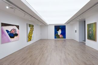 Zhao Gang Solo Exhibition, installation view