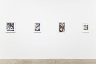 Michael Robinson: Mad Ladders, installation view