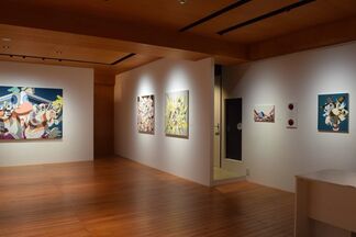 The patterns, installation view