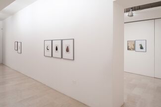 Stefano Graziani - Under the Volcano and Other Stories, installation view