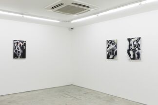 Antonio Malta Campos, installation view