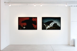 Dominic Nahr 'The Rift', installation view