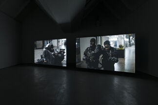 Aernout Mik - A swarm of two, installation view