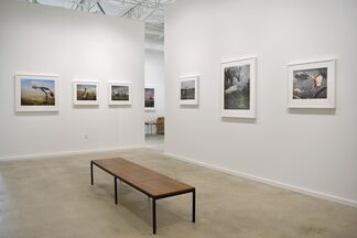 Cheryl Medow: Envisioning Habitat: An Altered Reality, installation view
