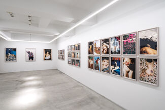 Lin Zhipeng aka No.223 '223@Akio Nagasawa Gallery Aoyama', installation view