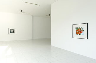 Christopher Williams, installation view