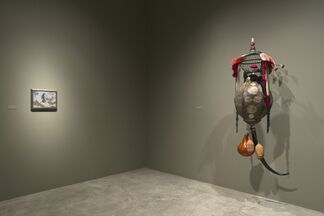 Rina Banerjee: Disgust, installation view