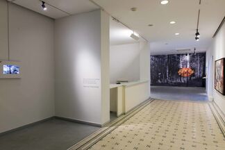 Diary of Defeats, installation view