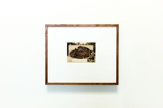Her First Meteorite Volume One: Photographic Collages, installation view