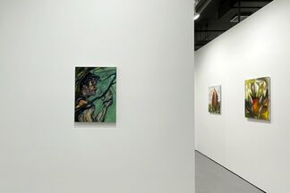 Lost In a Spectacle, installation view