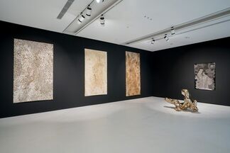 Exploding Suns, installation view