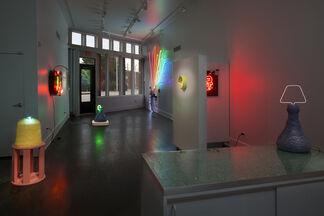 A Difficult Pair, installation view