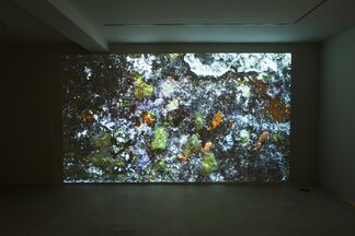 Angelika Markul - Tierra de Origen, installation view