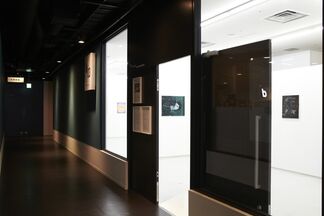 Koji Nakazono, installation view
