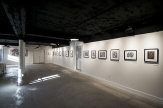 The Visual Subconscious, installation view