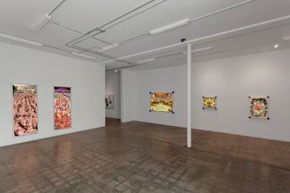 The Flaunting of the Youth, installation view