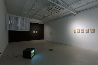 Passing By, installation view