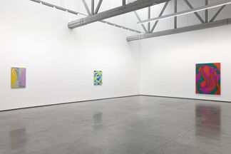 Lesley Vance | A Zebra Races Counterclockwise, installation view