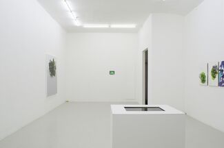 And Alterations - Michael Manning, installation view