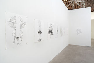 Christopher Richmond: Totems and Chimeras, installation view