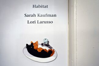 Habitat: Lori Larusso and Sarah Kaufman, installation view