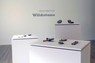 HELEN BRITTON | Wildstone, installation view