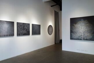 Of Woods and Wonderlands: Dual Exhibition by Pang Yun and Li Yuming, installation view