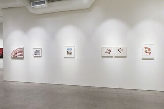 When We Were Young, installation view