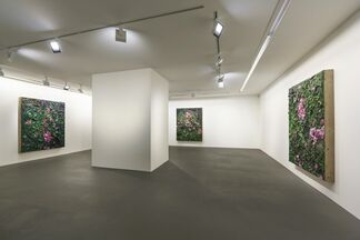 Julian Schnabel: 6 Rose Paintings, installation view