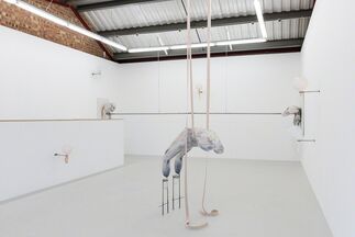 Ivana Basic 'Throat wanders down the blade..', installation view