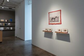 Helen Altman: Home to Roost, installation view
